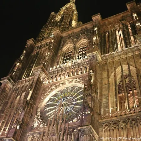 Les Cedres - Jacuzzi, Terrasse & Jardin - Wifi - Stationnement Gratuit Dans La Rue * Strasbourg