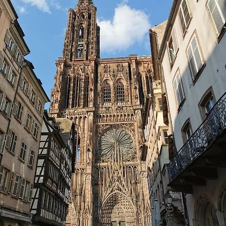 Apartment Les Cedres - Jacuzzi, Terrasse & Jardin - Wifi - Stationnement Gratuit Dans La Rue Strasbourg